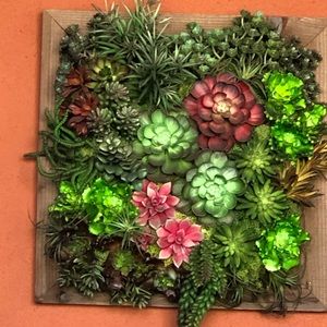 Meet your Posher, Sheila